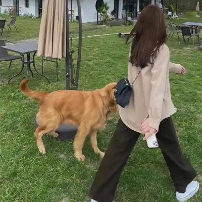 和解在后粤语